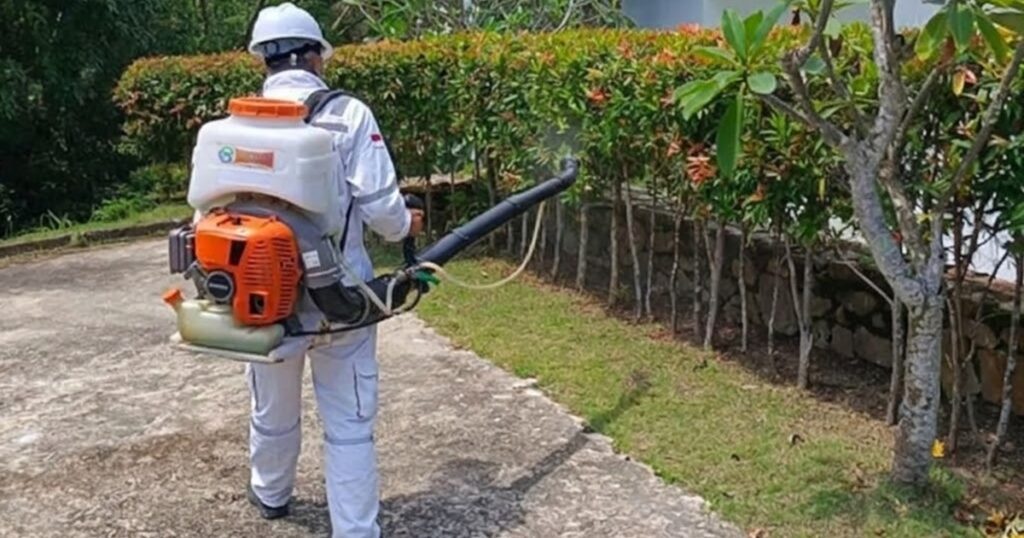 jasa pest control